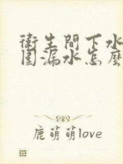 卫生间下水管周围漏水怎么办