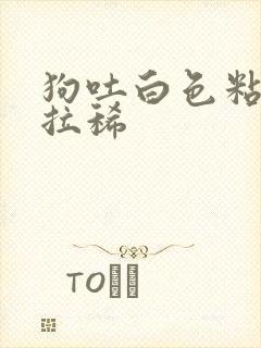 狗吐白色粘液还拉稀