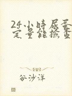 24小时尿蛋白定量能检查出什么