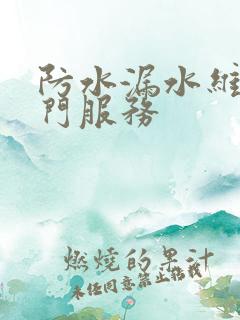 防水漏水维修上门服务