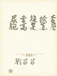 尿常规检查红细胞高是怎么回事