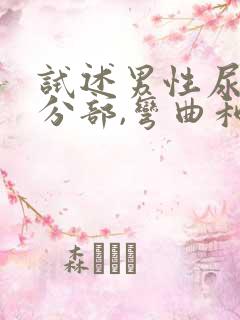 试述男性尿道的分部,弯曲和狭窄