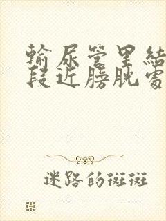 输尿管里结石下段近膀胱处