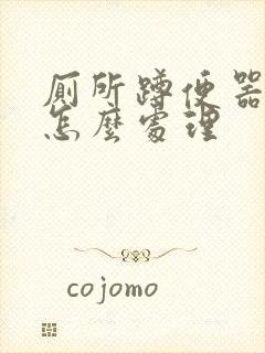 厕所蹲便器反味怎么处理