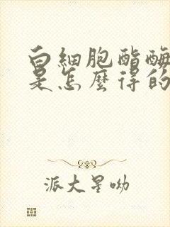 白细胞酯酶阳性是怎么得的