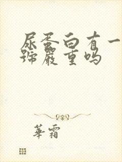 尿蛋白有一个加号严重吗