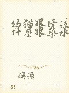 幼猫眼睛流脓用什么眼药水