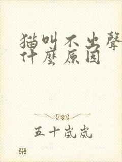 猫叫不出声音是什么原因