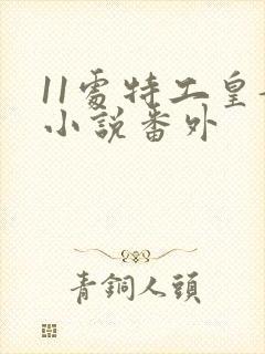 11处特工皇妃小说番外