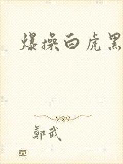 爆操白虎黑丝