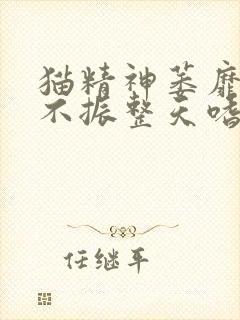 猫精神萎靡食欲不振整天嗜睡