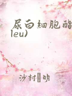 尿白细胞酯酶(leu)