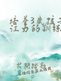 培养3岁孩子专注力的训练方法