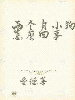 两个月小狗吐了怎么回事