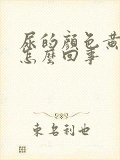 尿的颜色黄色是怎么回事