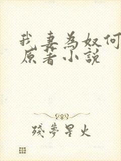 我妻为奴何梦蓉原著小说