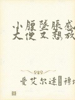 小腹坠胀感觉想大便又想放屁