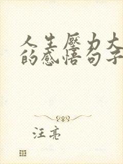 人生压力大很累的感悟句子