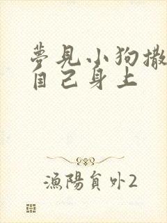 梦见小狗撒尿到自己身上