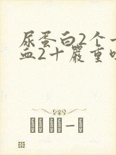 尿蛋白2个十潜血2十严重吗