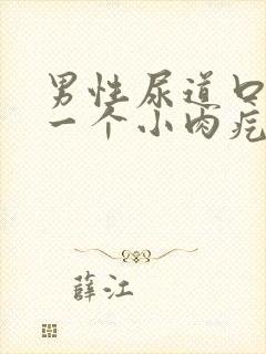 男性尿道口长了一个小肉疙瘩