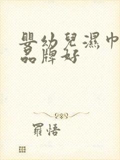 婴幼儿湿巾什么品牌好