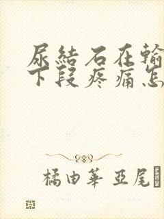 尿结石在输尿管下段疼痛怎么办