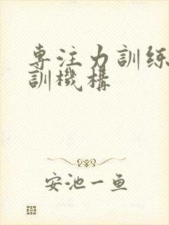 专注力训练 培训机构