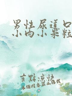 男性尿道口长了小肉小米粒