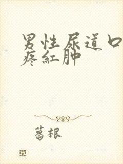 男性尿道口有点疼红肿