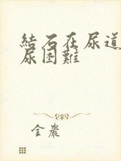 结石在尿道口排尿困难