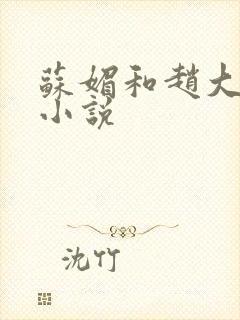 苏媚和赵大宝的小说