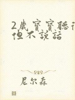 2岁宝宝听得懂但不说话