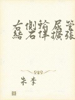 右侧输尿管上段结石伴扩张 右肾轻度积液