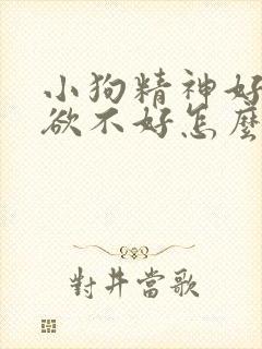 小狗精神好但食欲不好怎么办