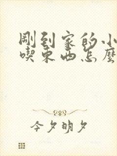 刚到家的小狗不吃东西怎么办