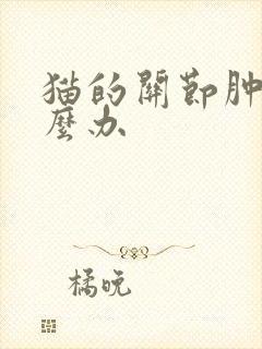 猫的关节肿了怎么办