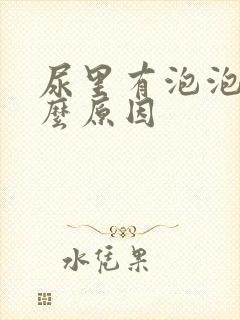 尿里有泡泡是什么原因