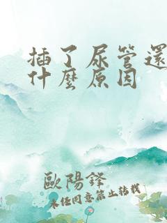 插了尿管还漏尿什么原因