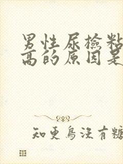 男性尿检粘液丝高的原因是什么