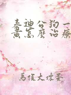 泰迪公狗一直尿黄怎么治疗好