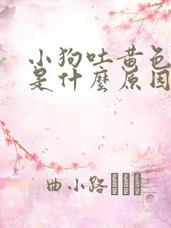 小狗吐黄色液体是什么原因