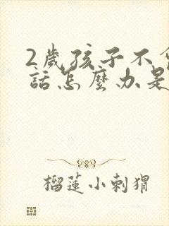 2岁孩子不会说话怎么办是什么原因