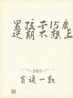 男孩子15岁叛逆期不想上学怎么办