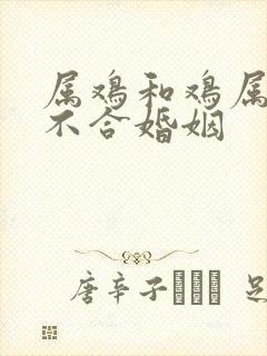 属鸡和鸡属相合不合婚姻