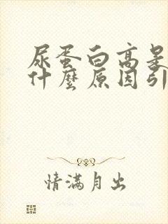 尿蛋白高是由于什么原因引起的