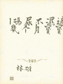 l码尿不湿适合几个月宝宝用