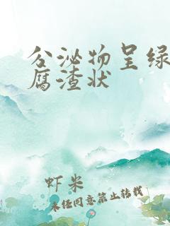 分泌物呈绿色豆腐渣状