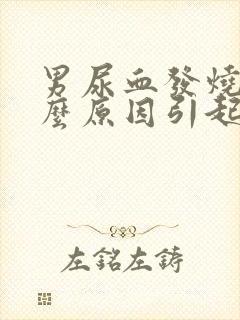 男尿血发烧是什么原因引起的