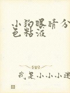 小狗眼睛分泌白色粘液